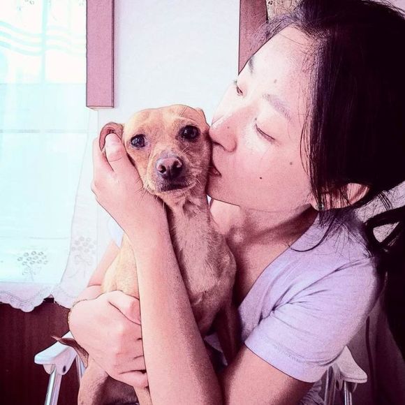 dianazhu